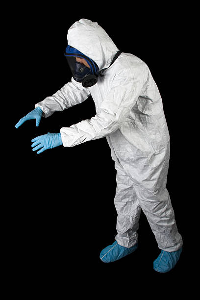 Best Crawl Space Mold Remediation  in Dunstan, ME